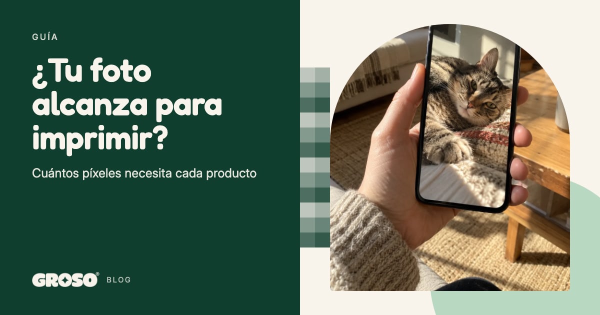 Una mano sostiene el celular con la foto de un gato a pantalla completa, en un living con sol